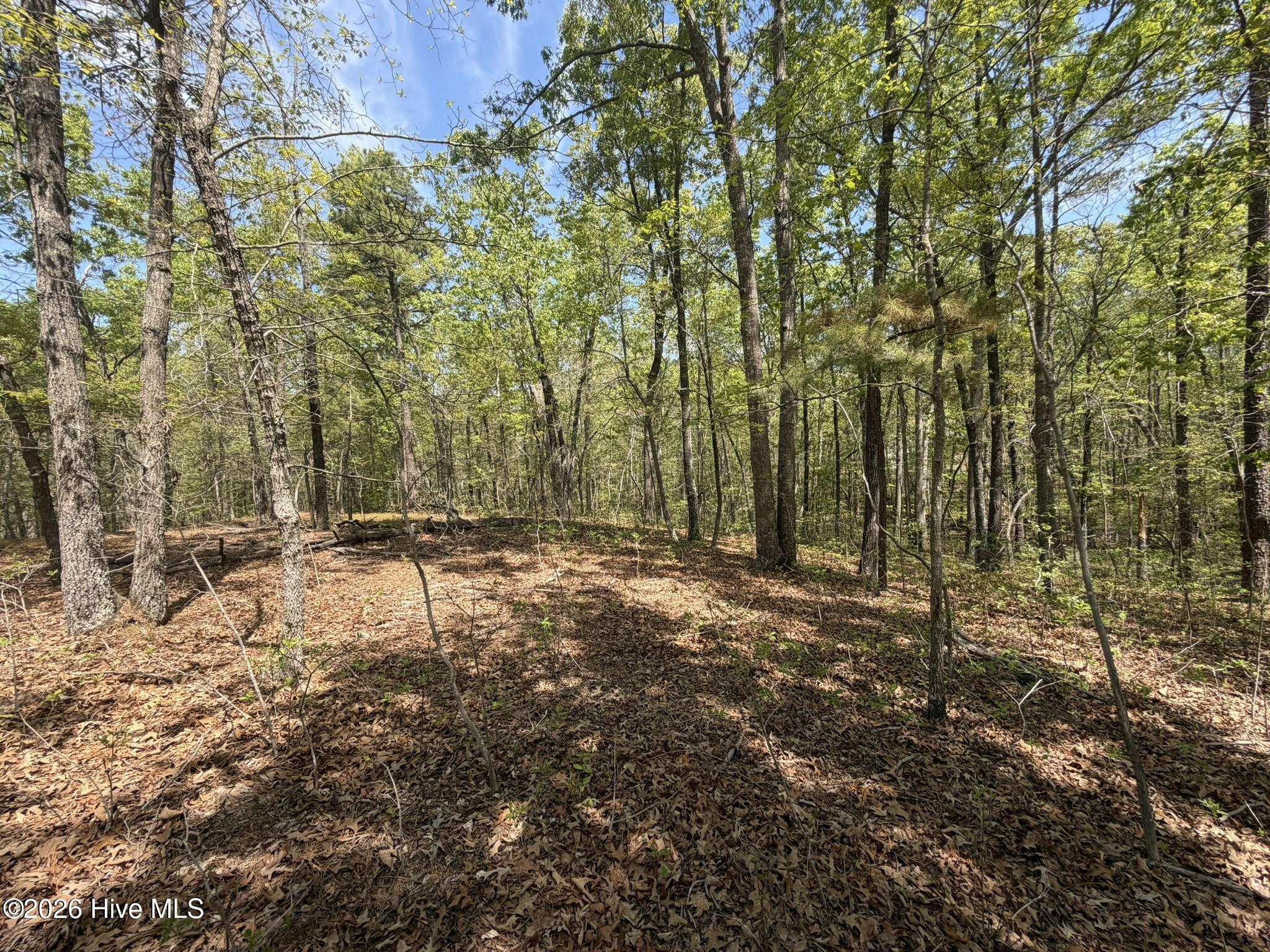 1016 R Cedar Lane West End, NC 27376 - Photo 7 of 24 IMG_0812