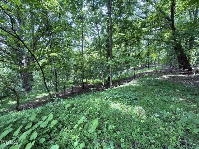 $45,990 | 5.74-acres Bailey Cemetery Road, Unit 1, Tazewell, TN 37879