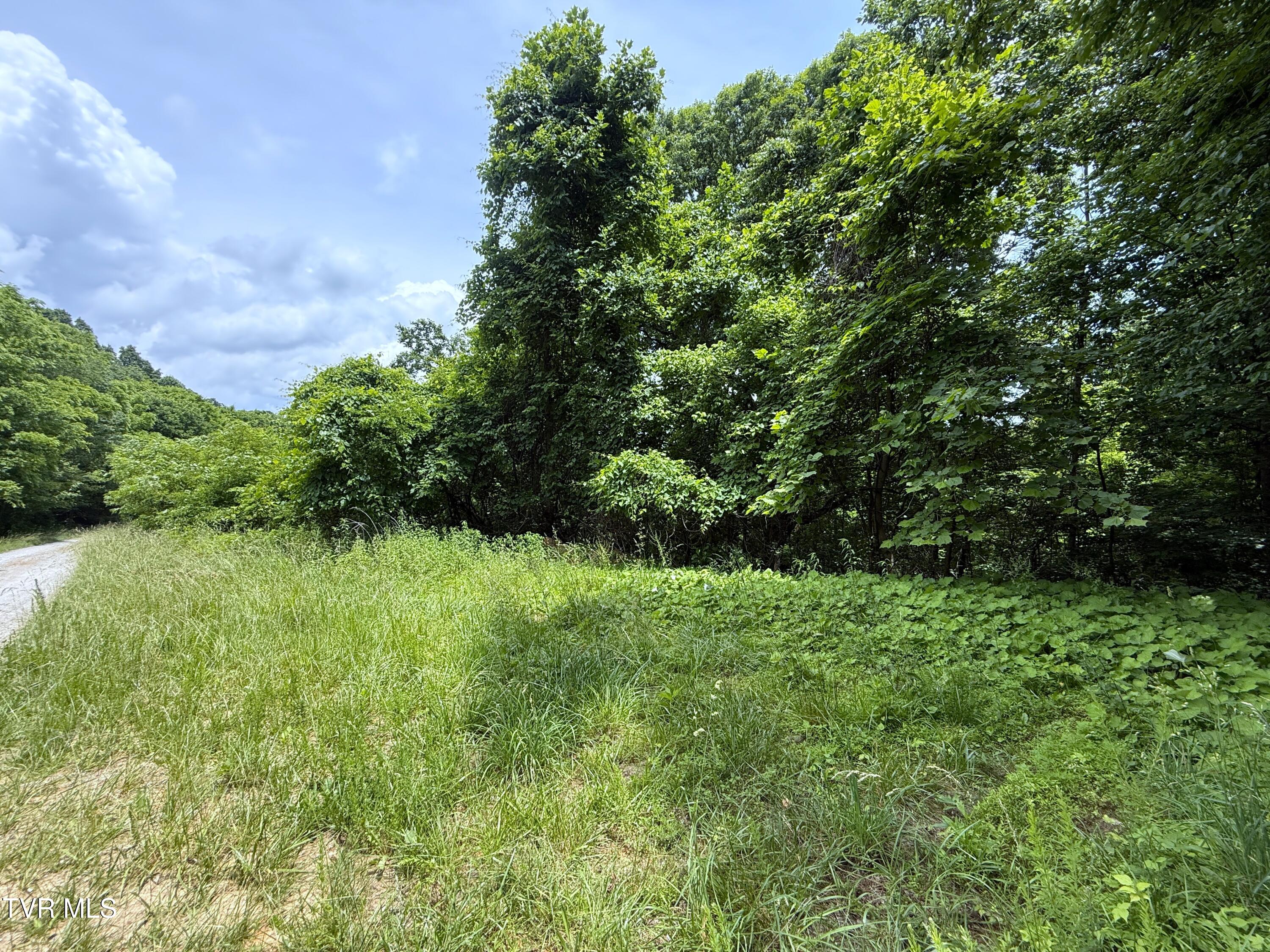 5.74-acres Bailey Cemetery Road, Unit 1 Tazewell, TN 37879 - Photo 7 of 13 IMG_3114