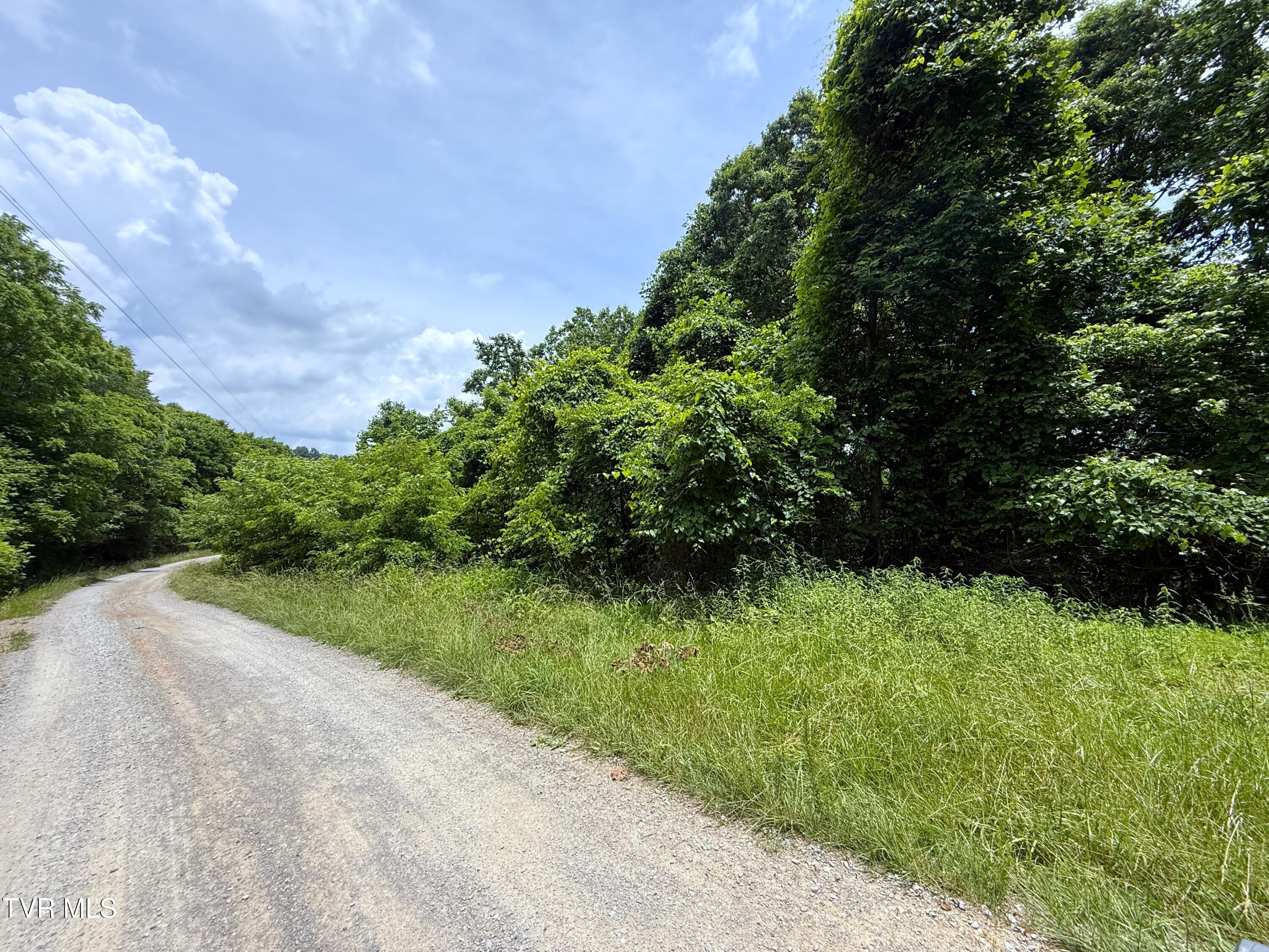 5.74-acres Bailey Cemetery Road, Unit 1 Tazewell, TN 37879 - Photo 8 of 13 IMG_3116