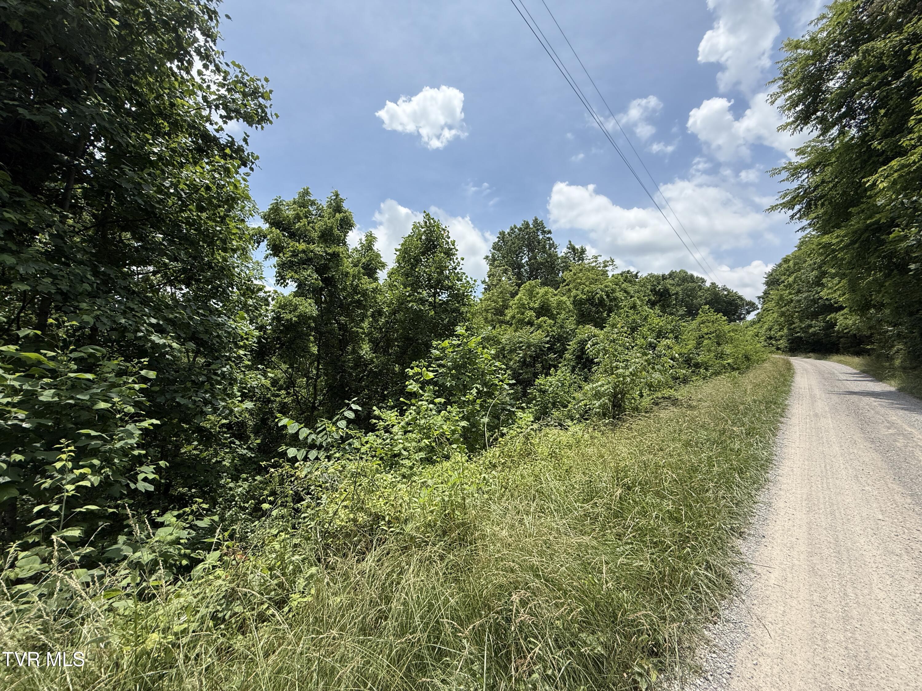 5.74-acres Bailey Cemetery Road, Unit 1 Tazewell, TN 37879 - Photo 9 of 13 IMG_3119