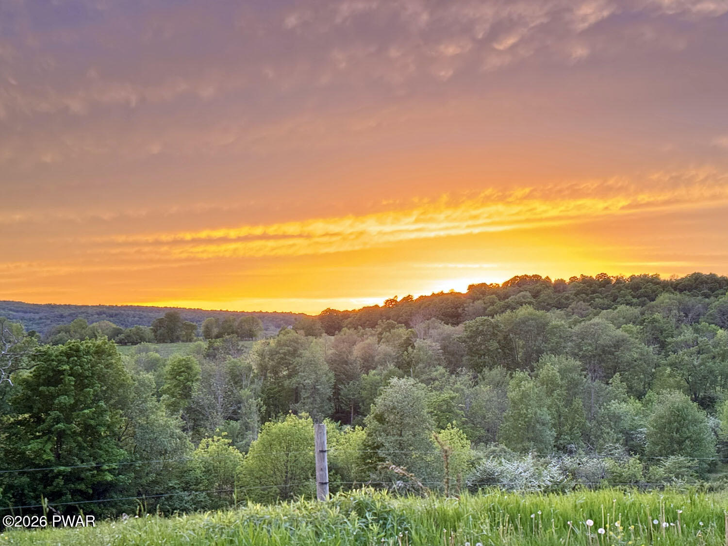 0 Wescott Road Tyler Hill, PA 18469 - Photo 1 of 16 Gallery Image 1