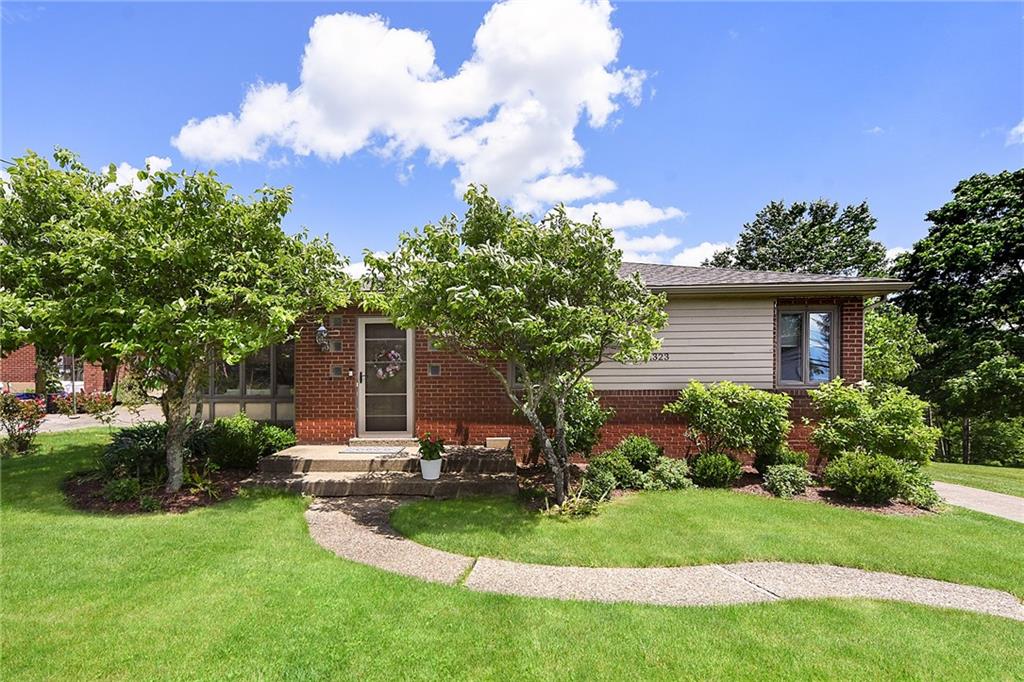 a view of a backyard with potted plants and large trees