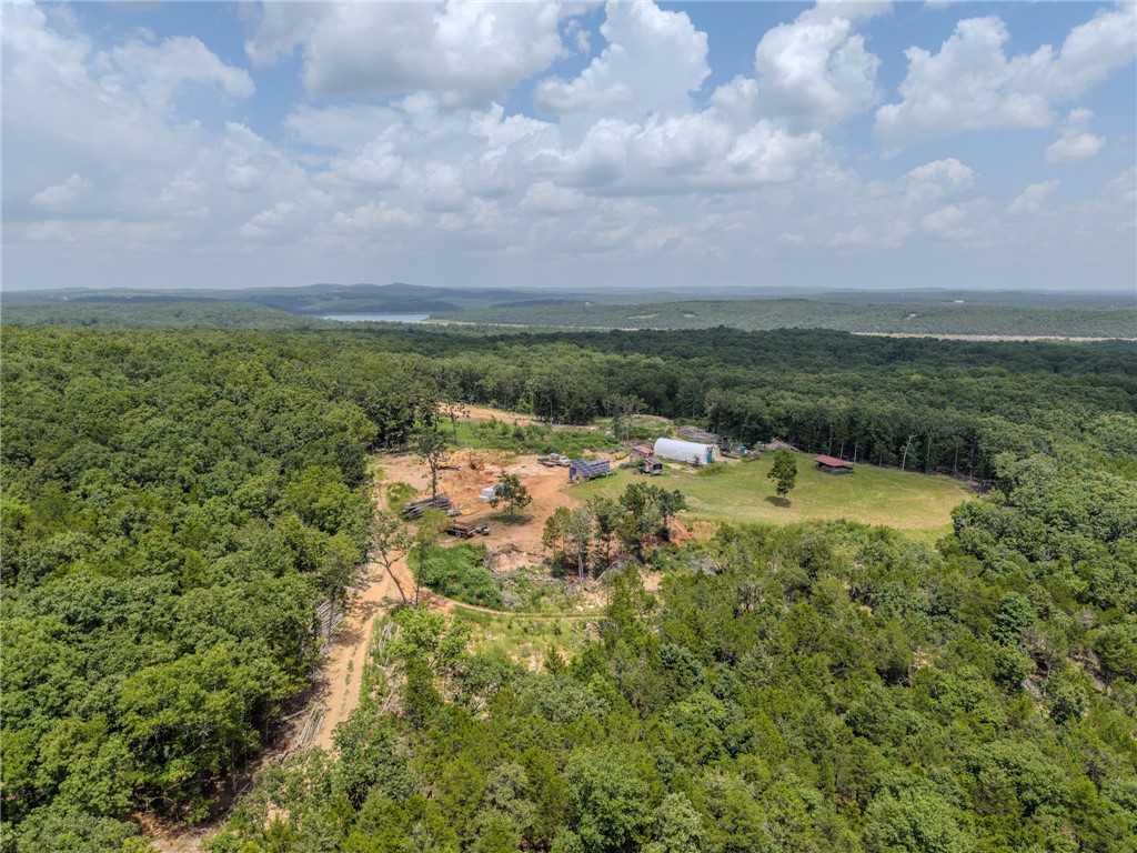 77 Timber Shoals Ranch Lead Hill, AR 72644 - Photo 14 of 29 Expansive wooded acreage with a clearing containing a barn structure, a white outbuilding, and a dirt path
