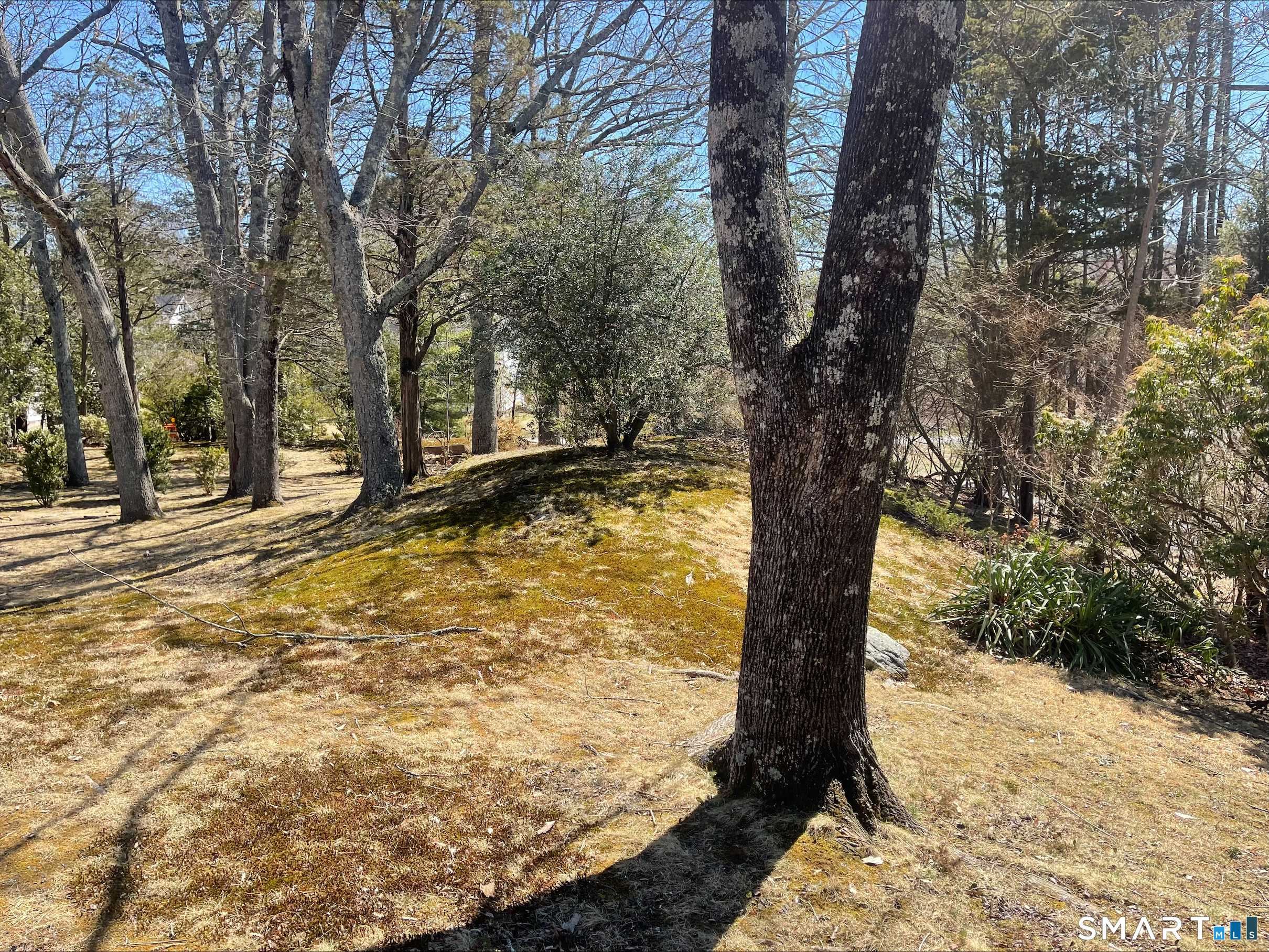 102 West Bridge Street Deep River, CT 06417 - Photo 8 of 35 a view of a yard with trees