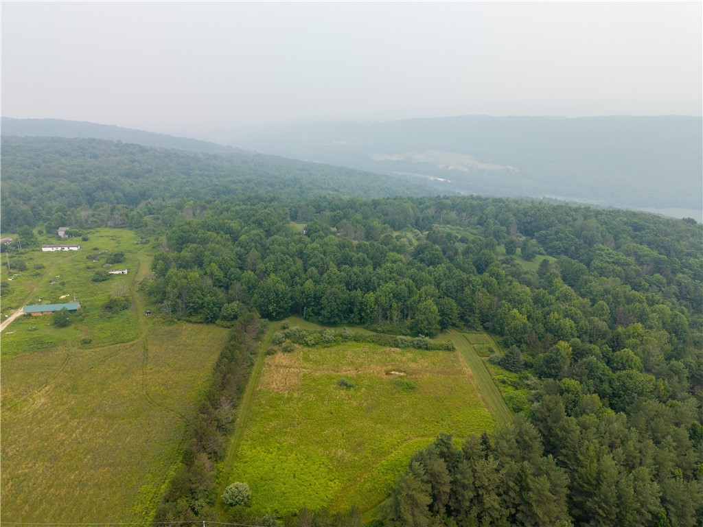 2571 Delude Road Dalton, NY 14836 - Photo 37 of 48