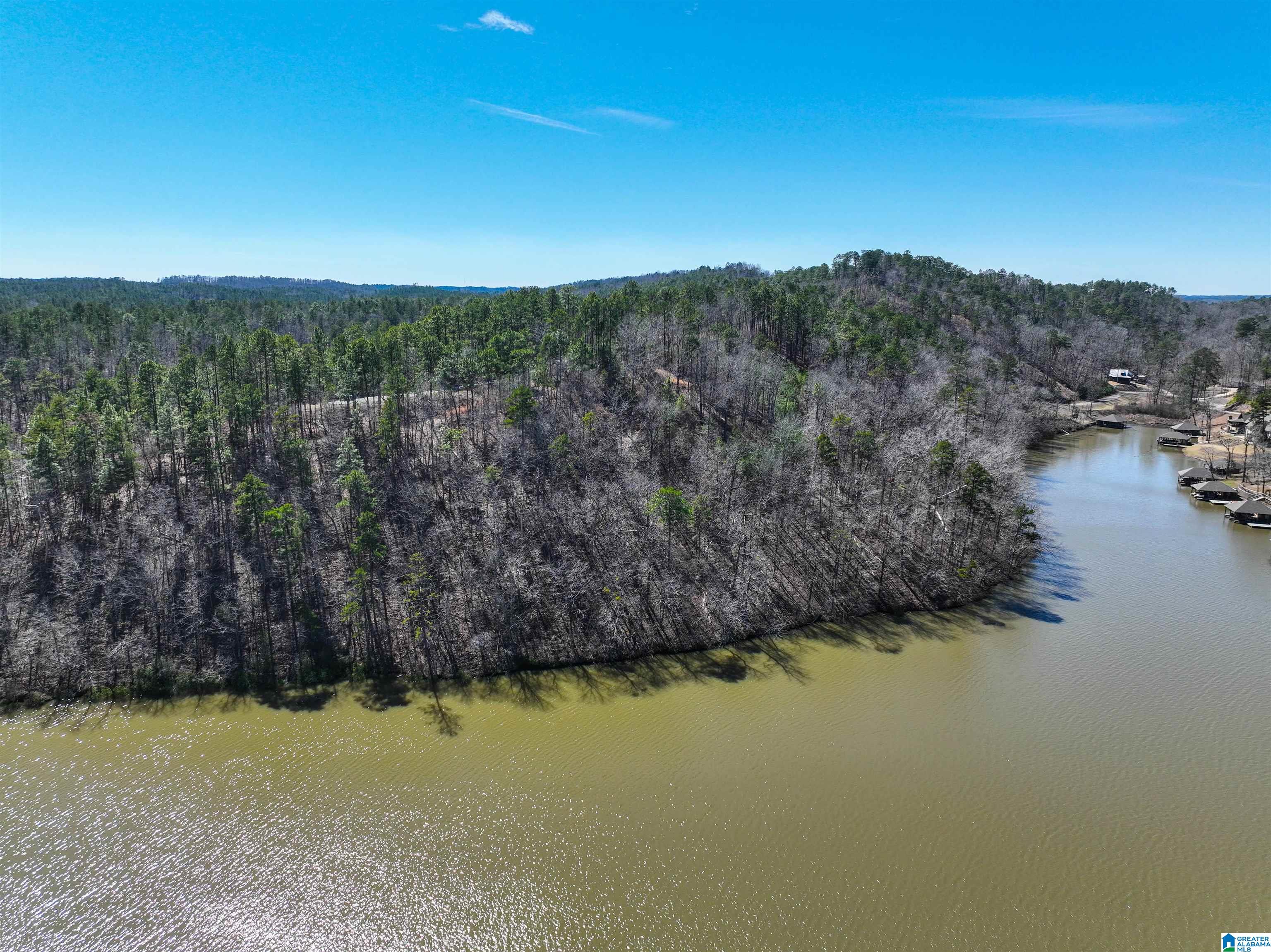 0 Preserve Road, Unit LOT 8 Rockford, AL 35136 - Photo 6 of 8