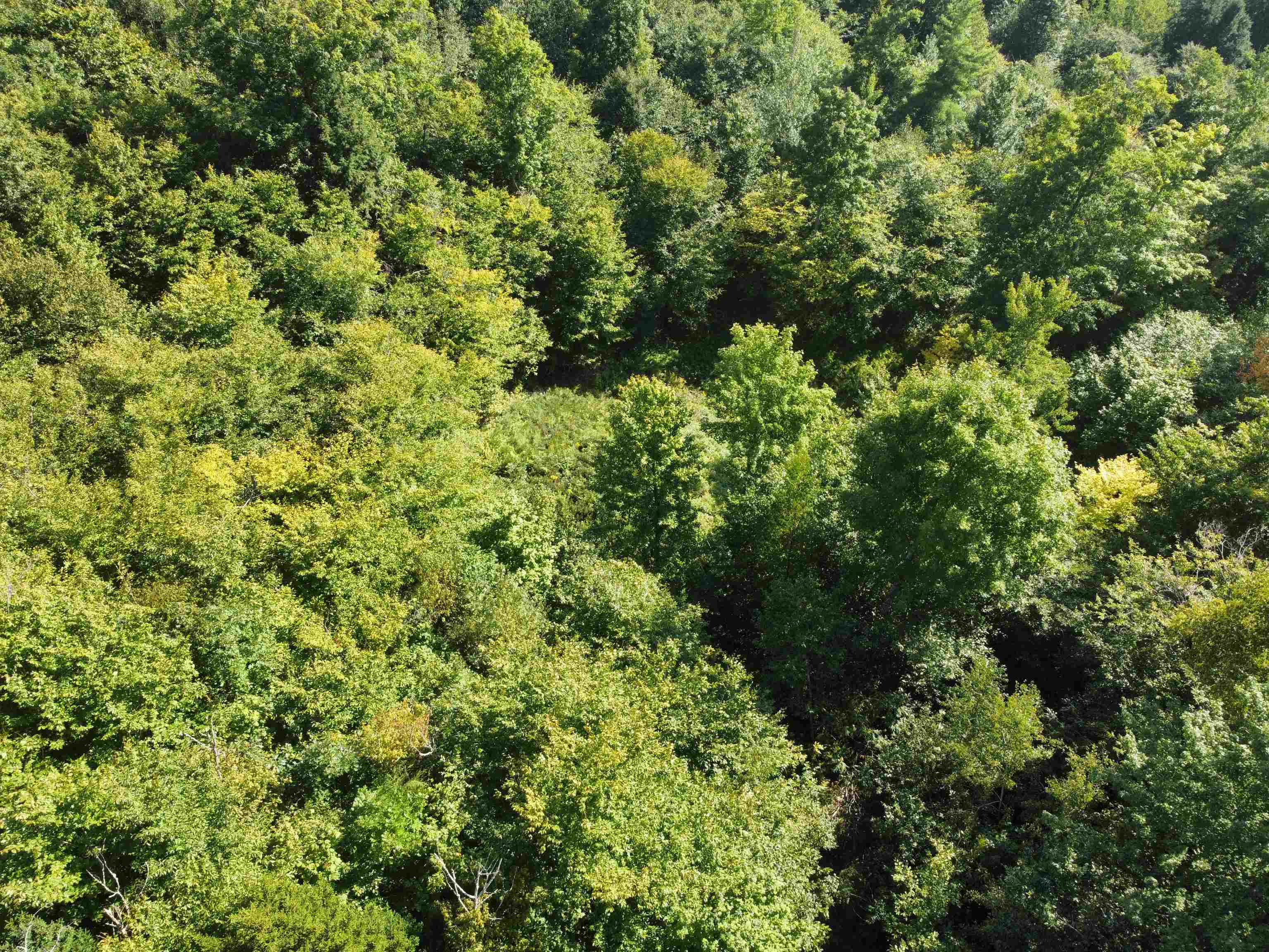 0 Haverhill Lane, Unit LOST 18 & 19, Woodsville, NH 03785 Compass