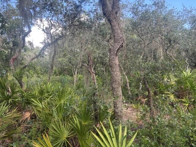 0 Old Stokes Road Frostproof, FL 33843 - Photo 8 of 8 2
