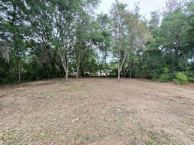 Tbd Southwest Beach Boulevard Dunnellon, FL 34431 - Photo 7 of 12