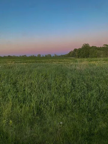 $120,000 | Lot 1 State Route Highway, Drexel, MO 64742