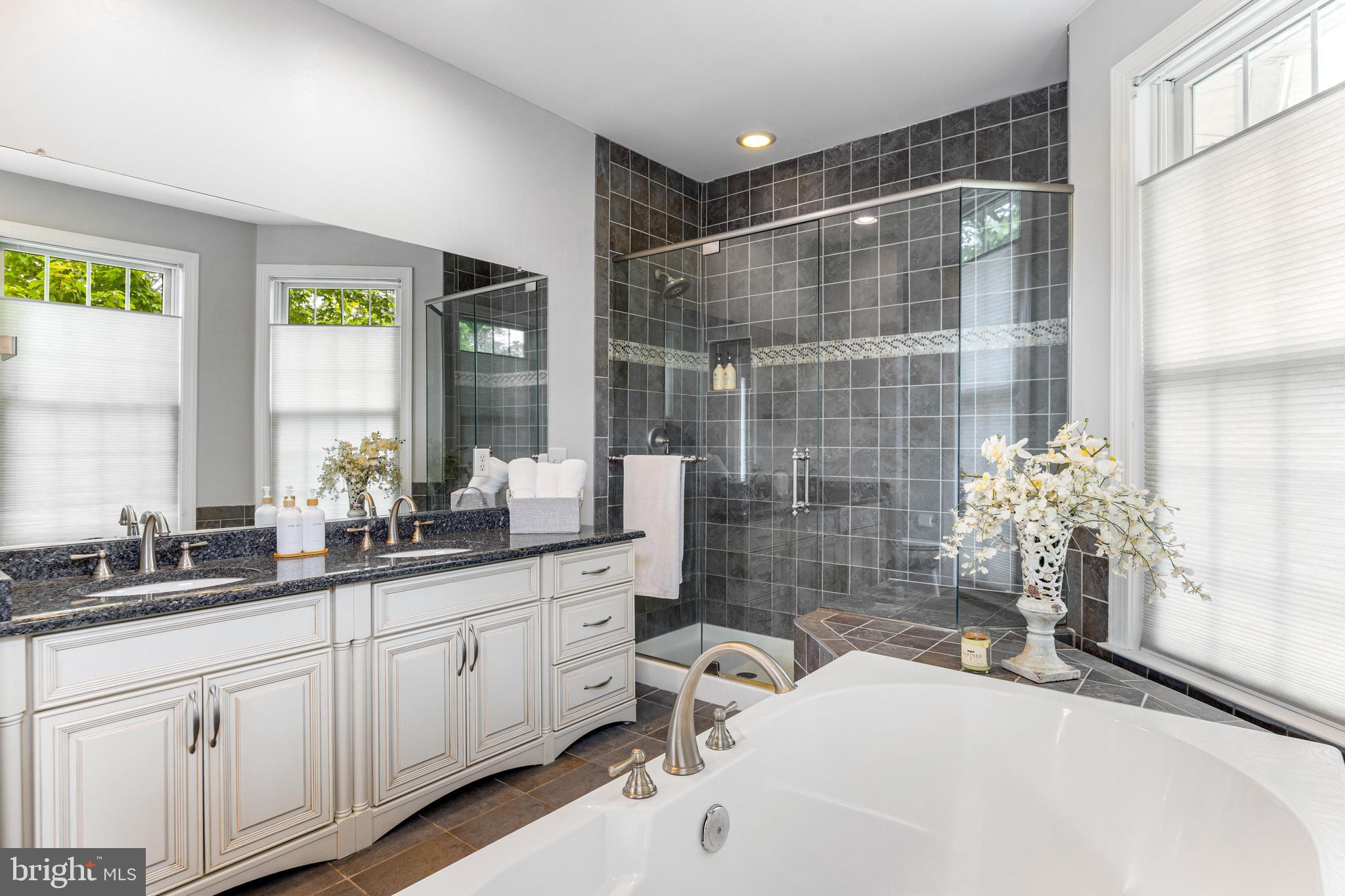 10 Dogwood Road Riva, MD 21140 - Photo 29 of 58 a bathroom with a sink a large mirror and a shower
