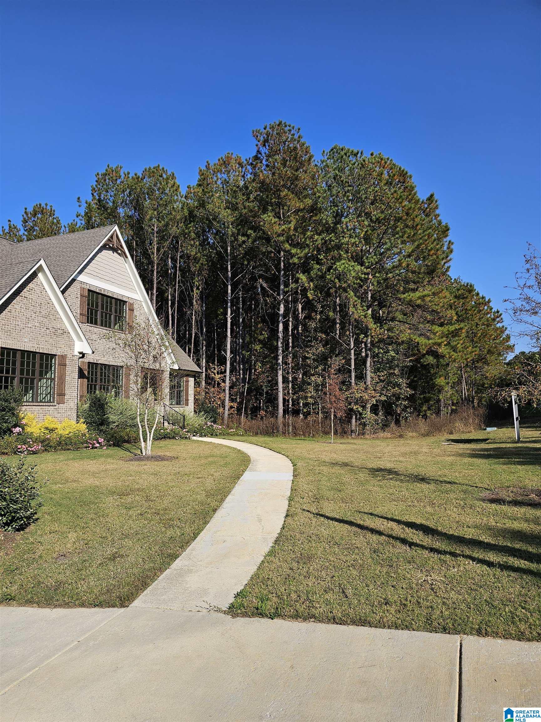 875 Chelsea Park Road Chelsea, AL 35043 - Photo 4 of 65