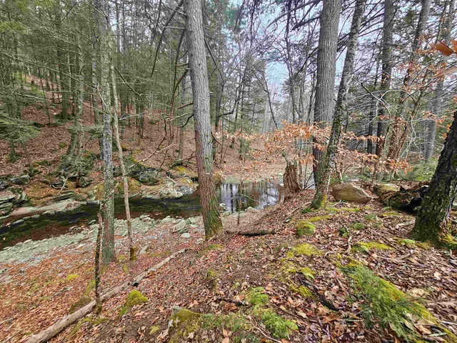 $319,000 | 756 Turkey Mountain Road, Jamaica, VT 05343