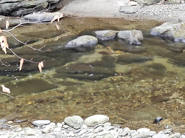 $319,000 | 756 Turkey Mountain Road, Jamaica, VT 05343