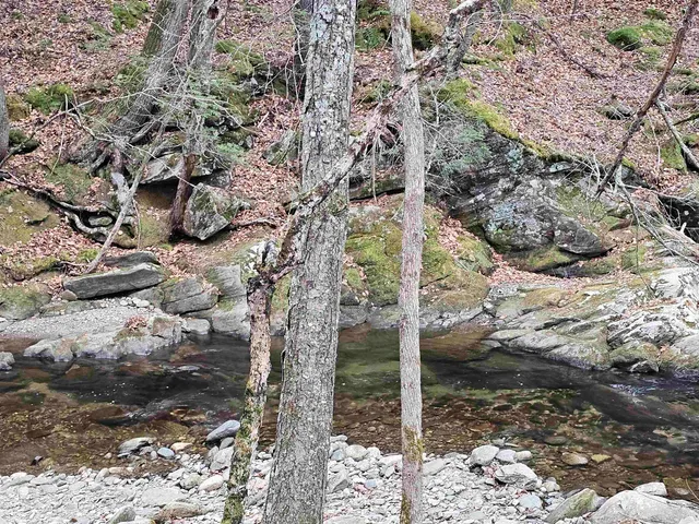 $319,000 | 756 Turkey Mountain Road, Jamaica, VT 05343