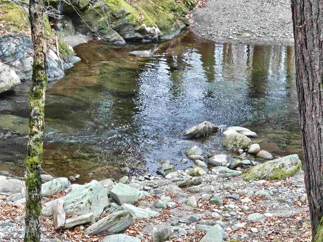 $319,000 | 756 Turkey Mountain Road, Jamaica, VT 05343