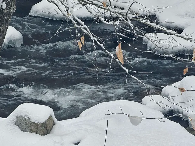 $319,000 | 756 Turkey Mountain Road, Jamaica, VT 05343