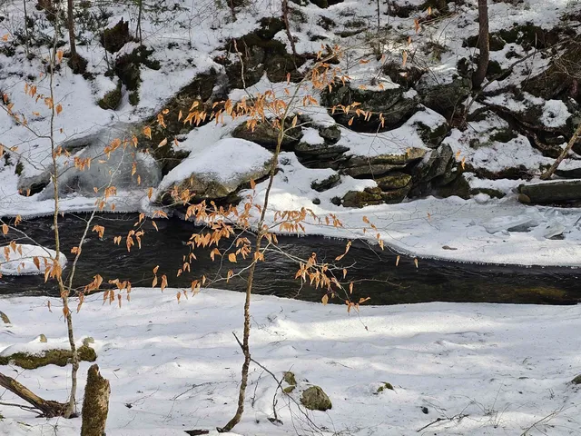 $319,000 | 756 Turkey Mountain Road, Jamaica, VT 05343