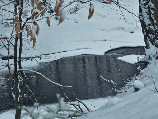 $319,000 | 756 Turkey Mountain Road, Jamaica, VT 05343