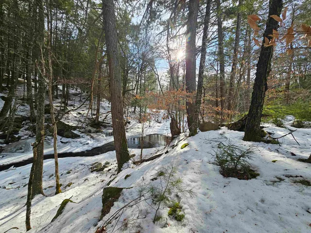 $319,000 | 756 Turkey Mountain Road, Jamaica, VT 05343