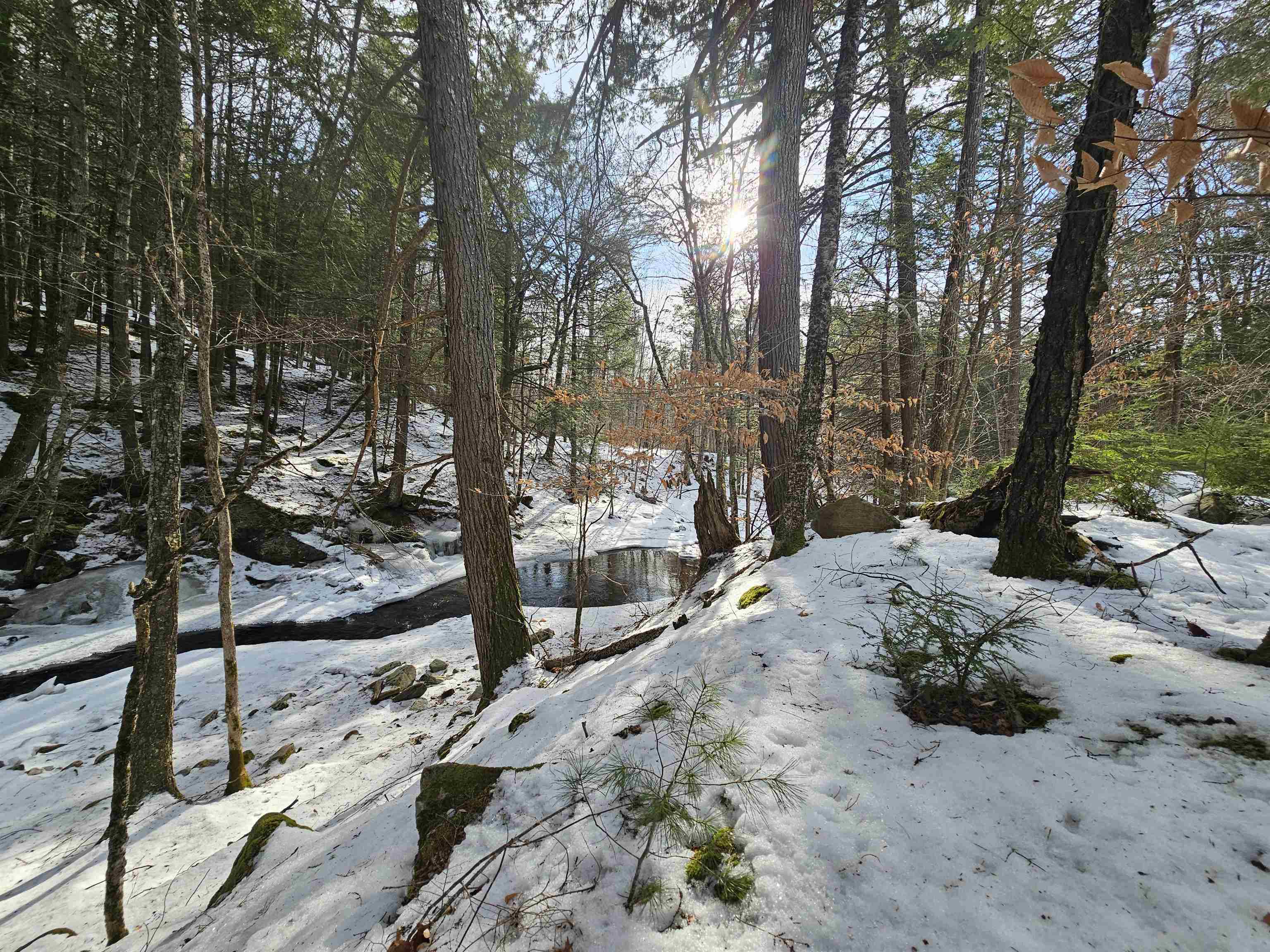 756 Turkey Mountain Road Jamaica, VT 05343 - Photo 41 of 50 Gallery Image 41