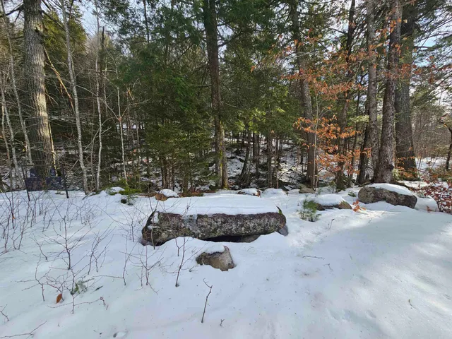 $319,000 | 756 Turkey Mountain Road, Jamaica, VT 05343