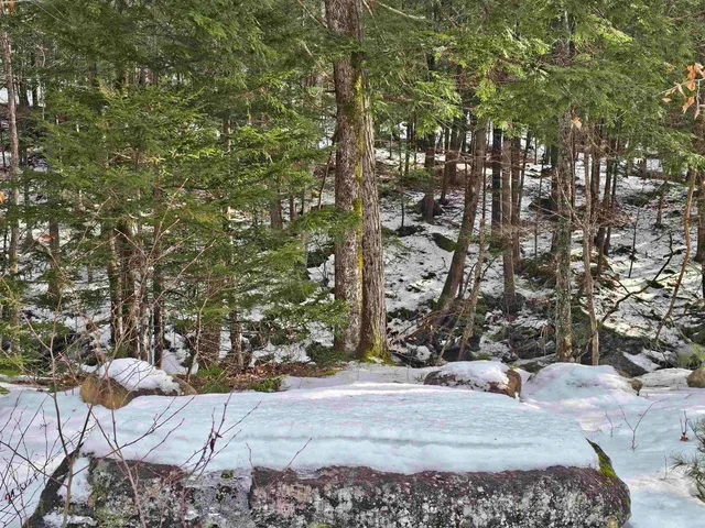 $319,000 | 756 Turkey Mountain Road, Jamaica, VT 05343