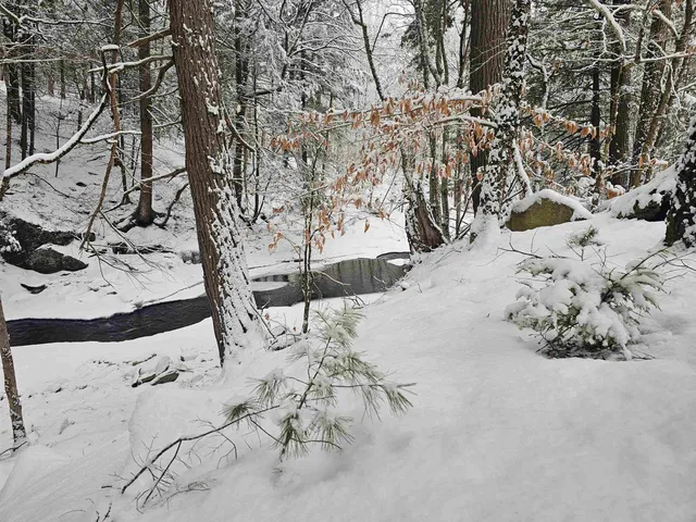 $319,000 | 756 Turkey Mountain Road, Jamaica, VT 05343