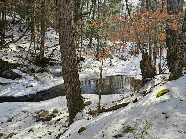 $319,000 | 756 Turkey Mountain Road, Jamaica, VT 05343