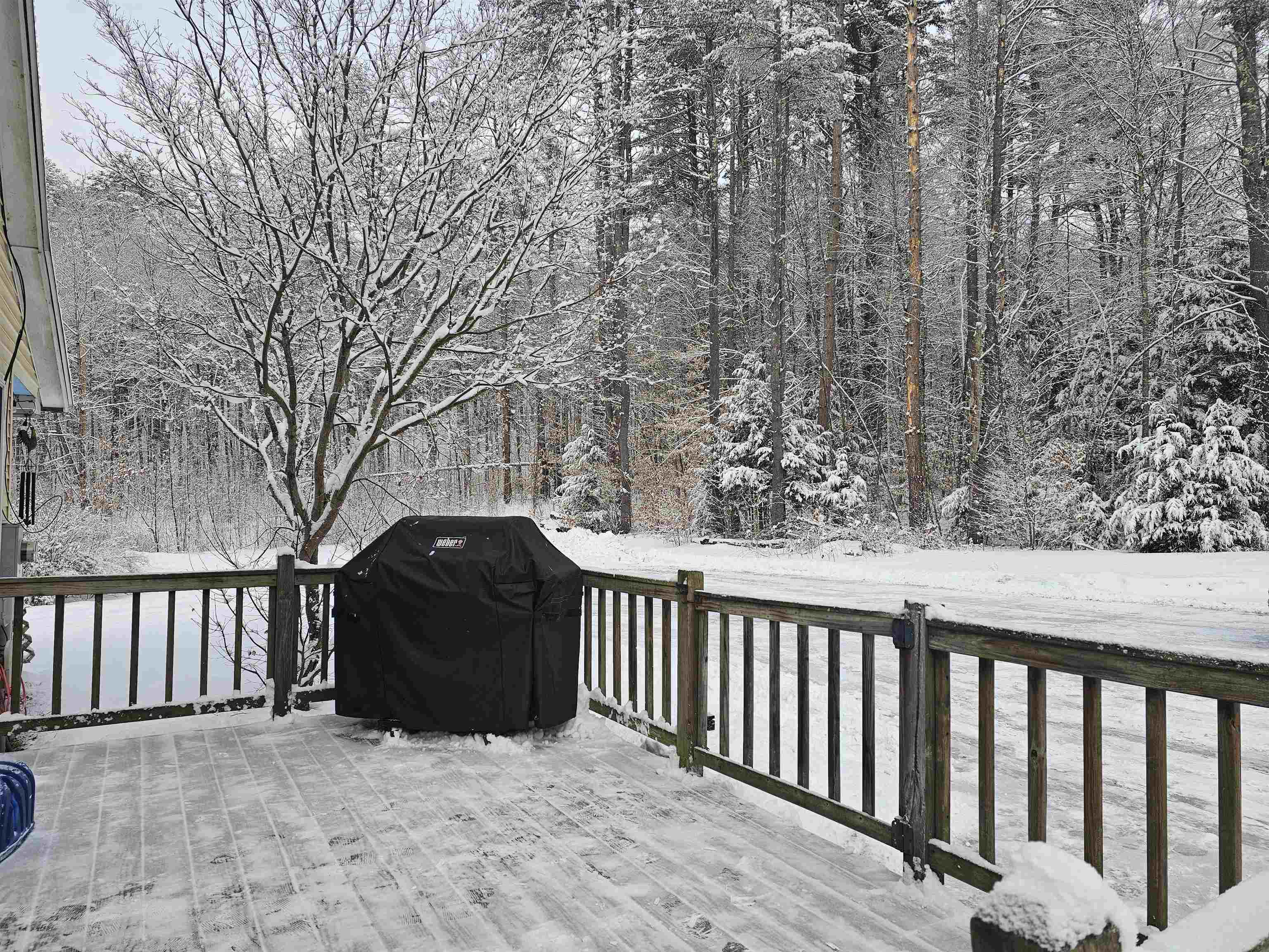 756 Turkey Mountain Road Jamaica, VT 05343 - Photo 6 of 50 Gallery Image 6