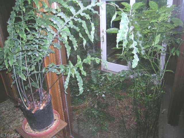 307 Kirk Road Greensboro, NC 27455 - Photo 7 of 9 Other. Interior Atrium