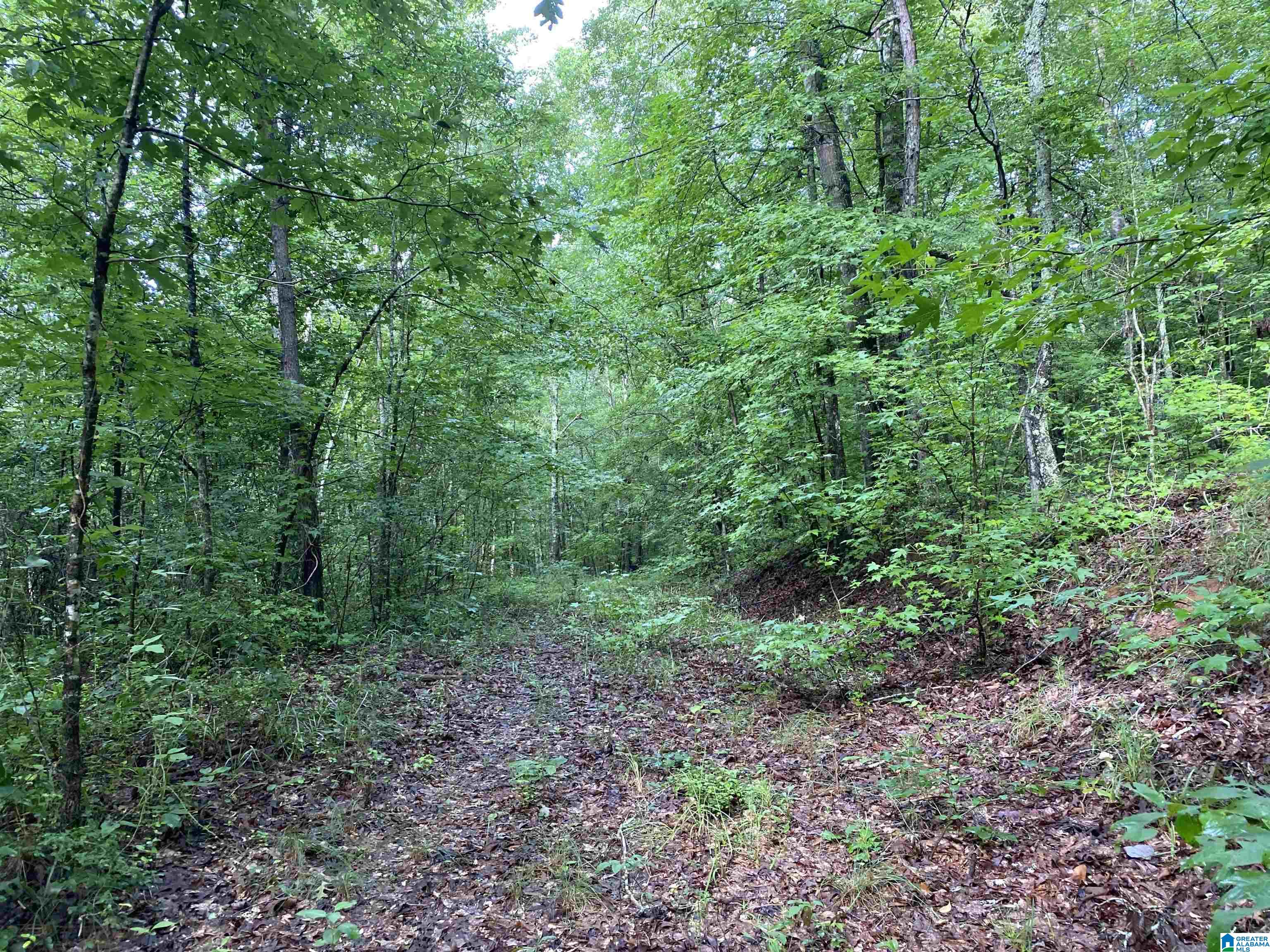 Bull Hollow Road, Unit 60 Odenville, AL 35120 - Photo 13 of 25