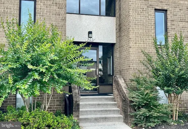 a potted plant sitting in front of a house
