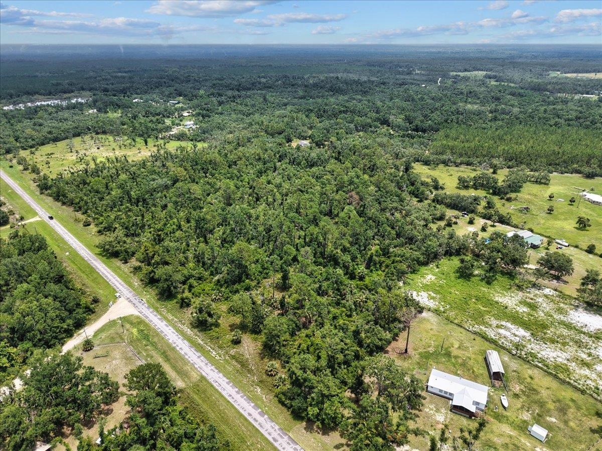 0 Spring Warrior Road Perry, FL 32348 - Photo 8 of 9 Gallery Image 8