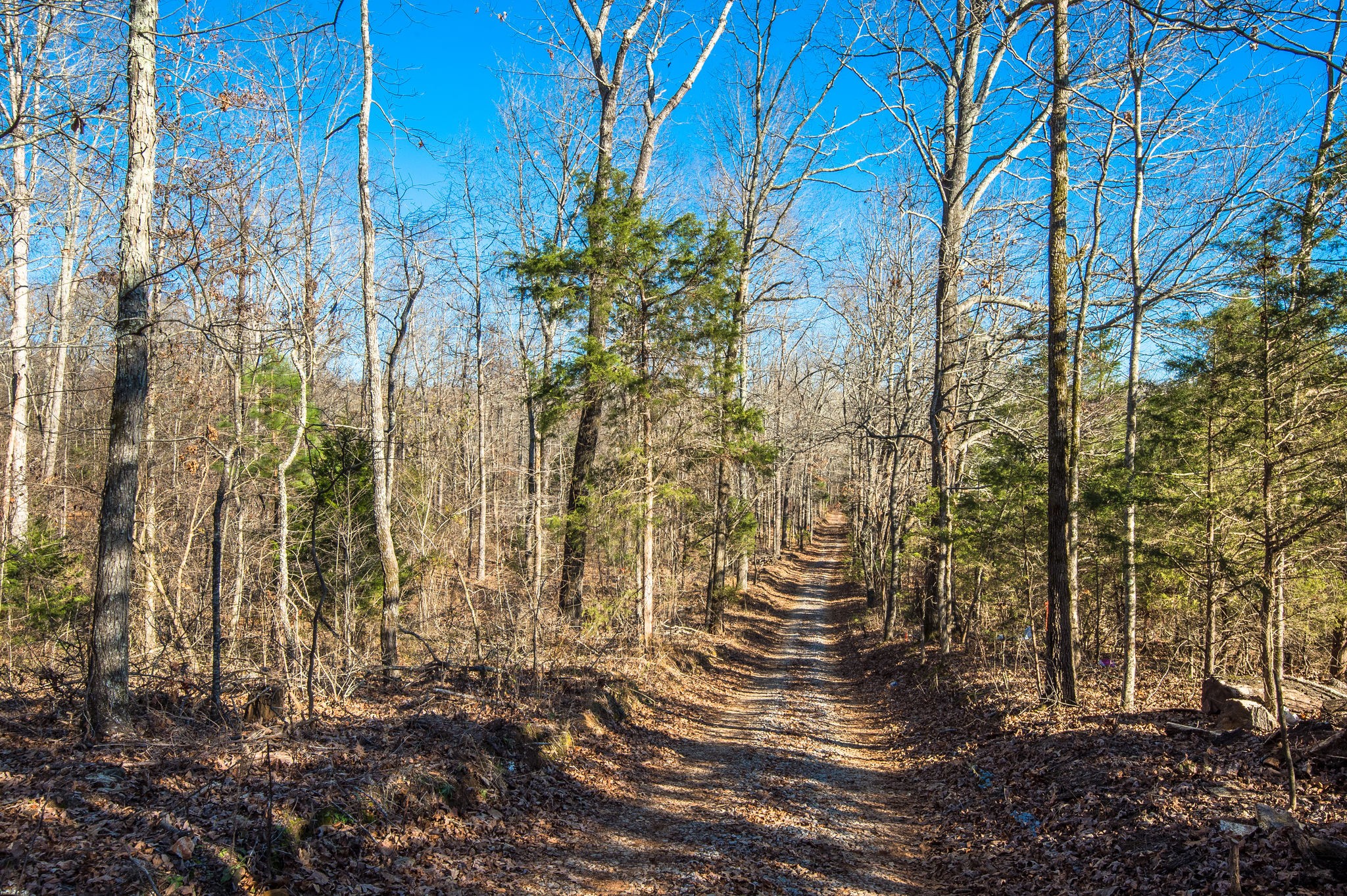 7936 Crow Cut Road Northwest Fairview, TN 37062 - Photo 26 of 26