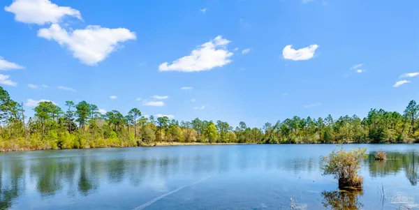 $417,000 | 4 Red Feather Drive, Unit LOT 4, Seminole, AL 36574