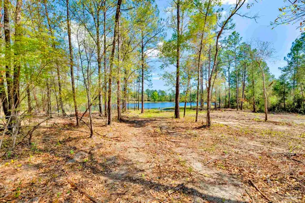 $417,000 | 4 Red Feather Drive, Unit LOT 4, Seminole, AL 36574