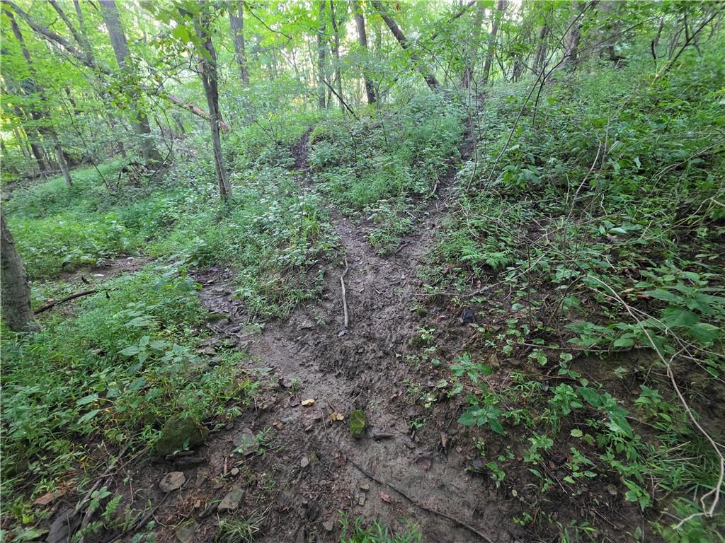 0 Darr Road Belle Vernon, PA 15012 - Photo 2 of 15 Gallery Image 2
