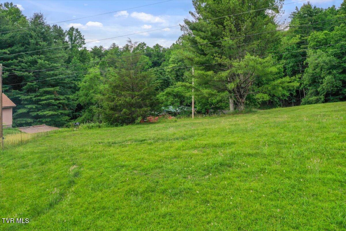 1258 Hawkins Road Laurel Bloomery, TN 37680 - Photo 19 of 29 19-DJI_0219