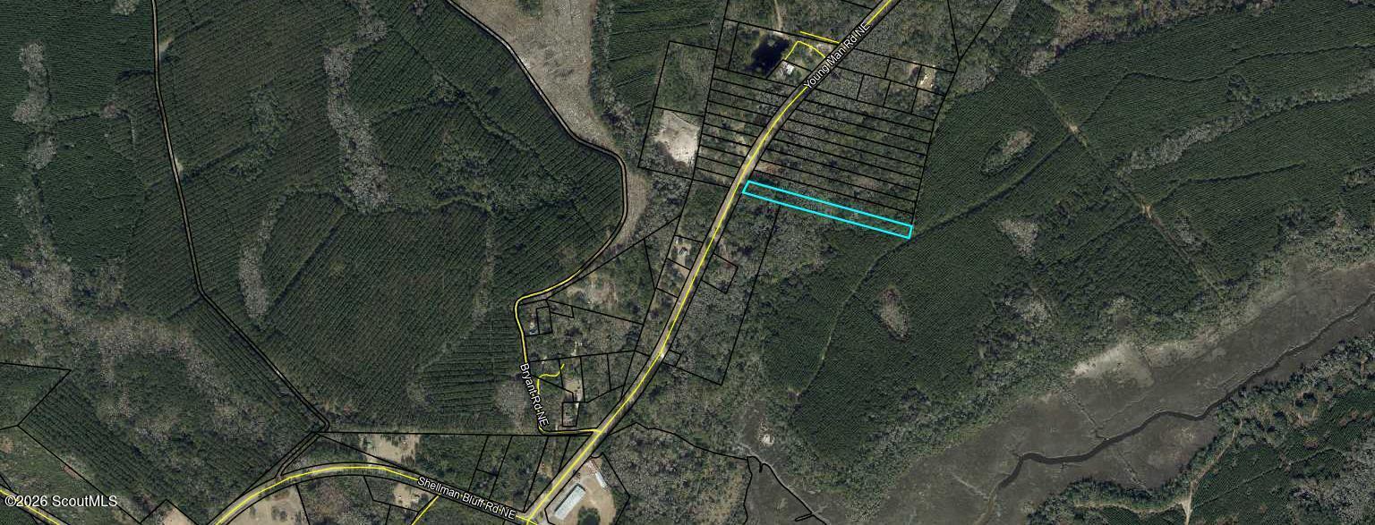 2.83-ac Young Man Road Northeast Townsend, GA 31331 - Photo 7 of 7 map (1)