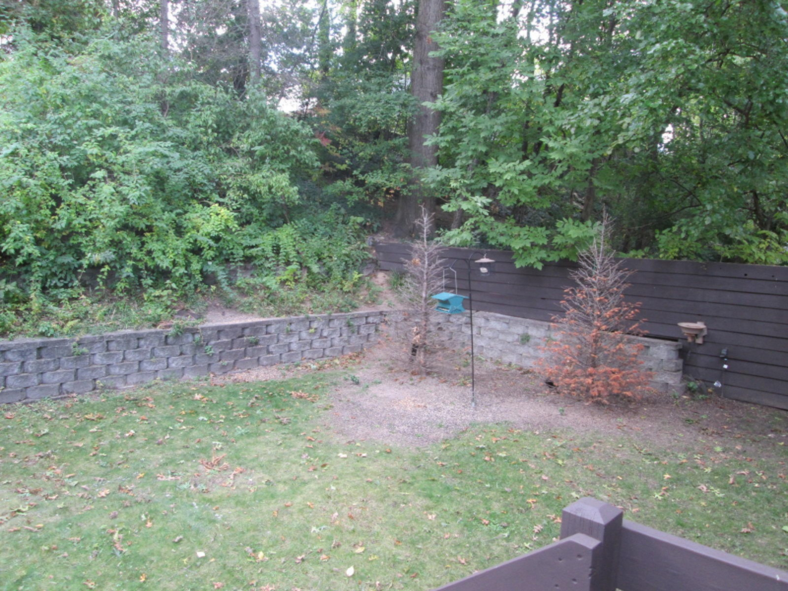 547 Ridge Avenue Spring Lake, MI 49456 - Photo 5 of 24 IMG_3538