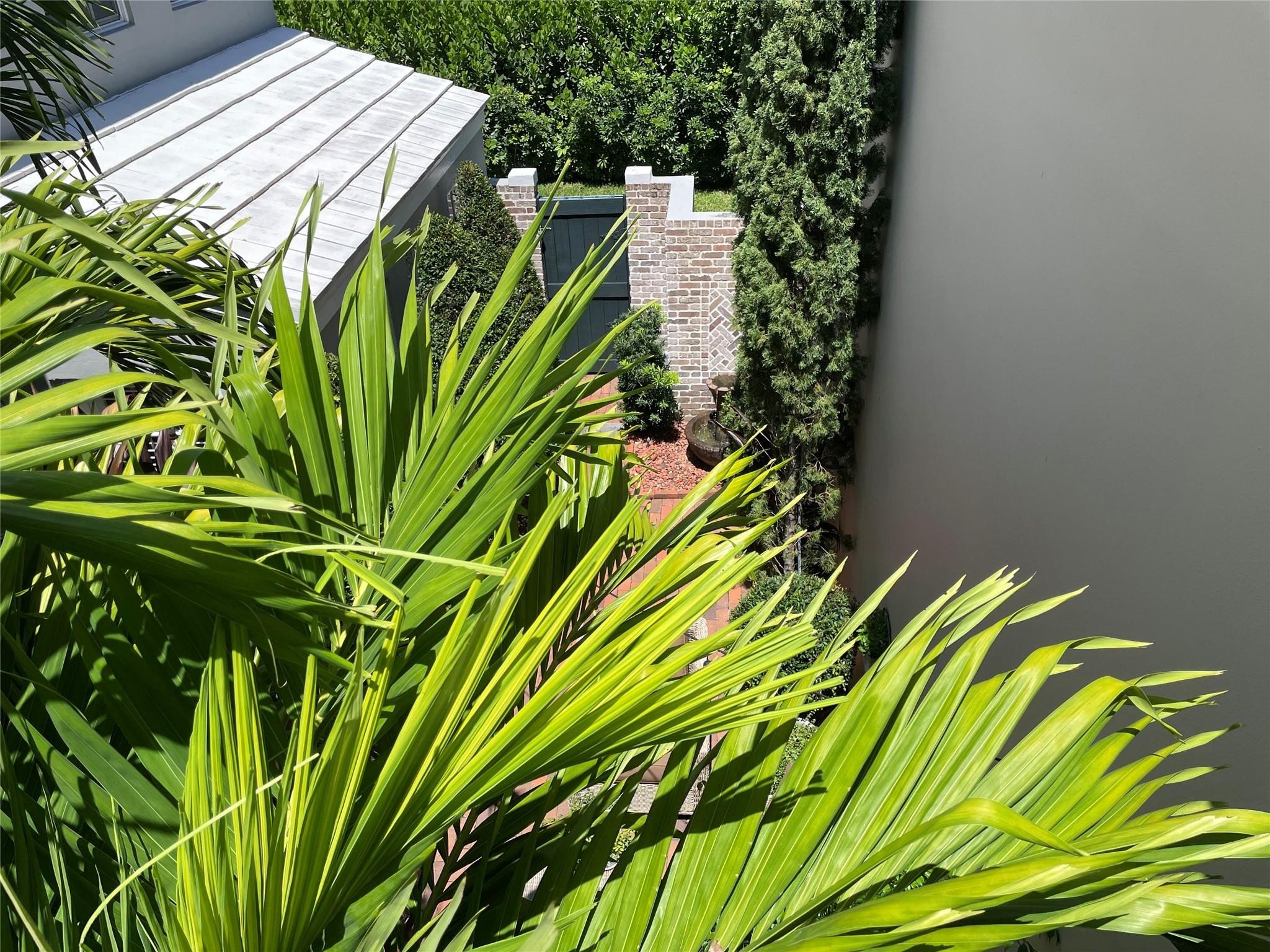 5883 Bartram Street Boca Raton, FL 33433 - Photo 73 of 95 a view of a plant in a garden