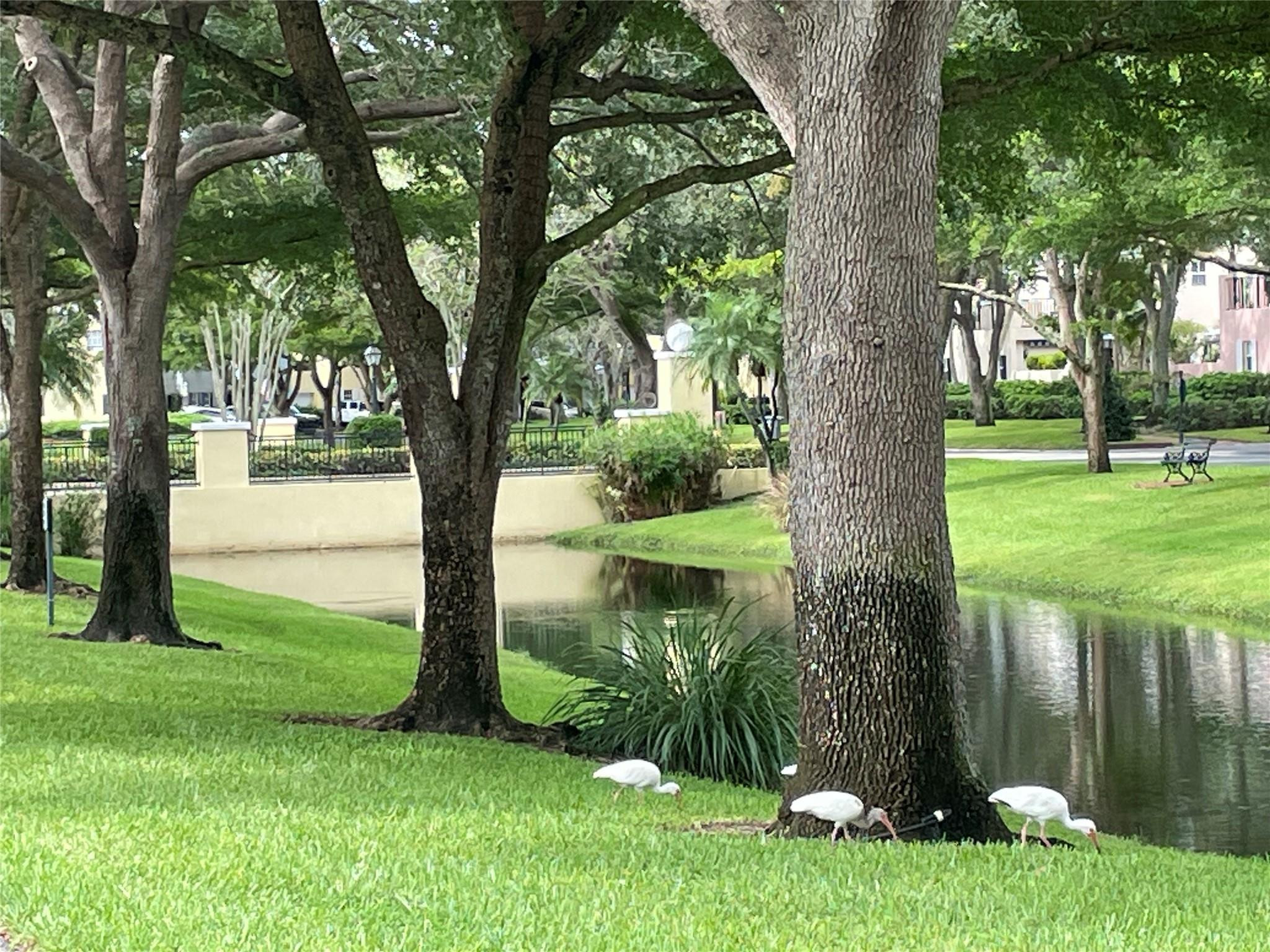 5883 Bartram Street Boca Raton, FL 33433 - Photo 93 of 95 Photo 93