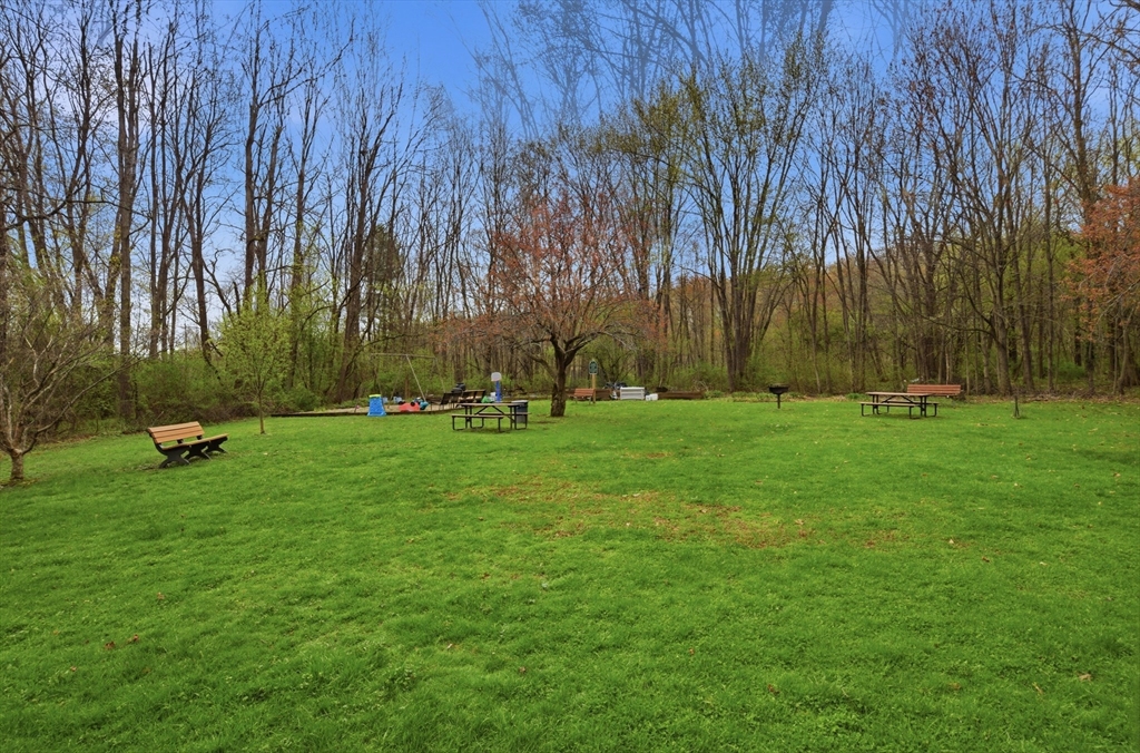 74 Barrett Street, Unit 308 Northampton, MA 01060 - Photo 2 of 22 a view of a park with large trees