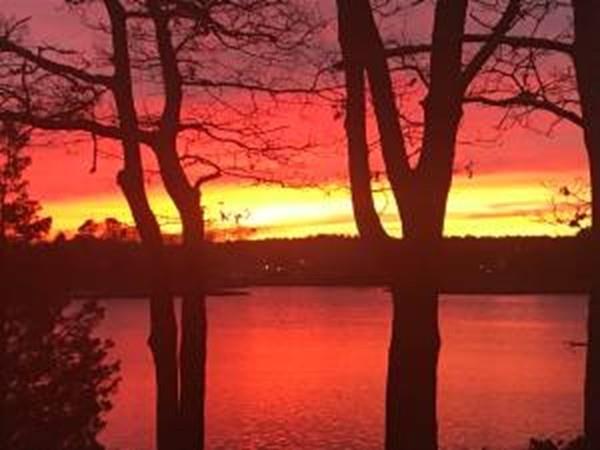 9 15th Street Wareham, MA 02558 - Photo 22 of 22