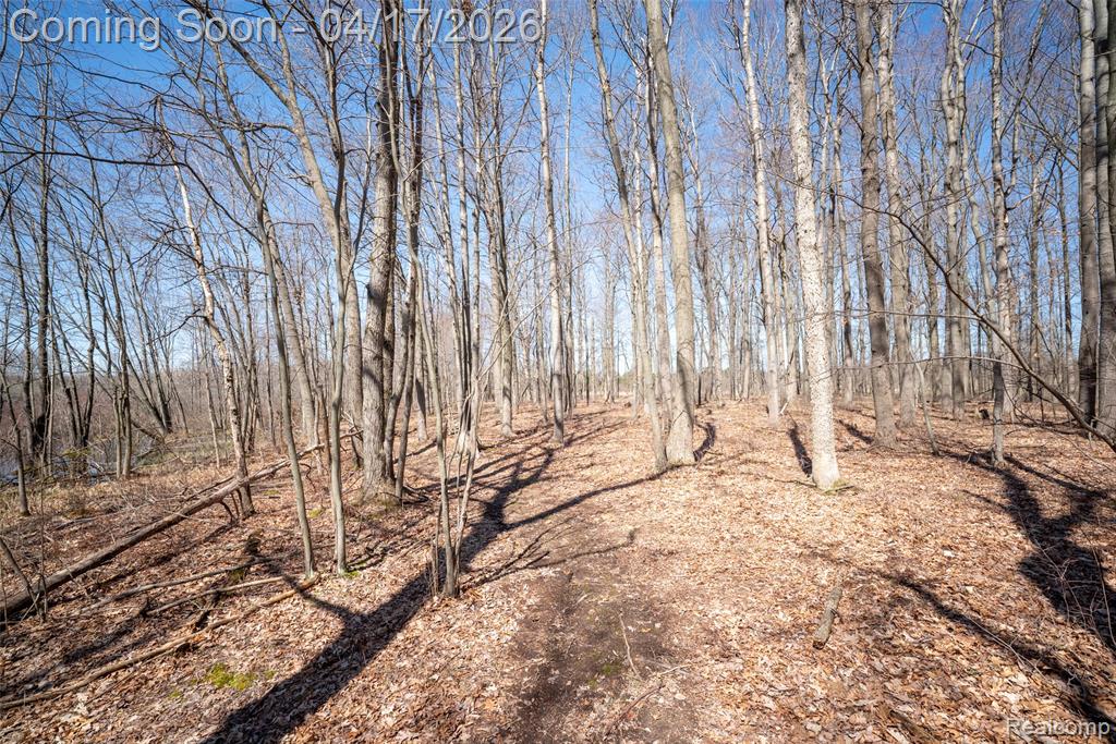 825 West Rose Center Road Holly, MI 48442 - Photo 13 of 29