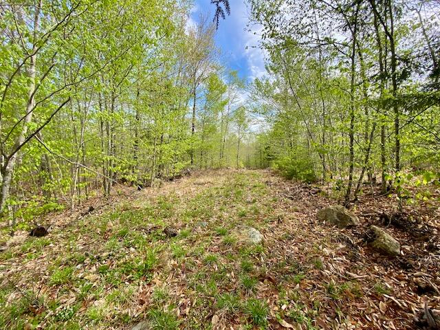 65-ac Town Farm Road West Baldwin, ME 04091 - Photo 13 of 16 IMG_2753