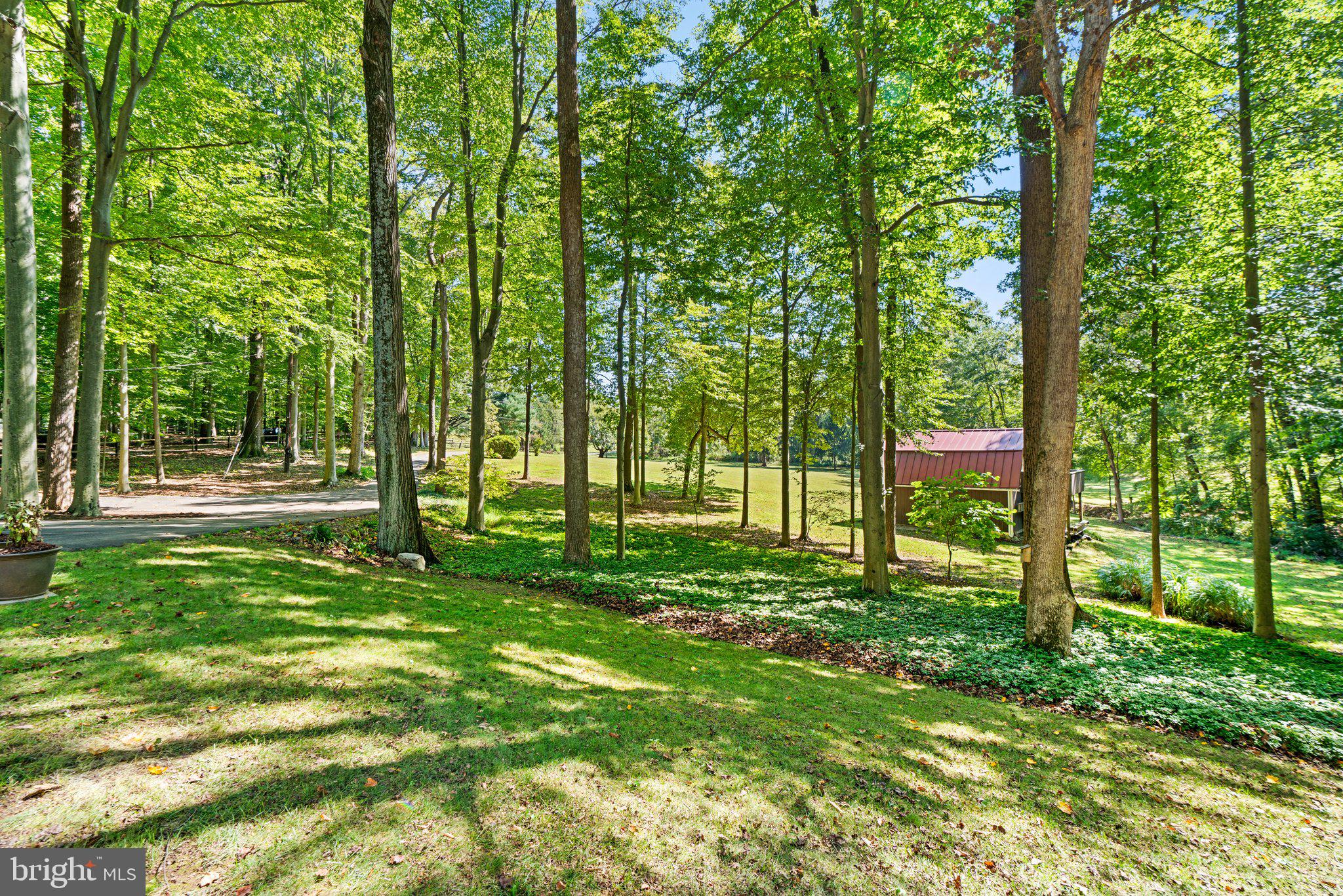 12412 Hall Shop Road Fulton, MD 20759 - Photo 2 of 97 View from front patio looking out over property.