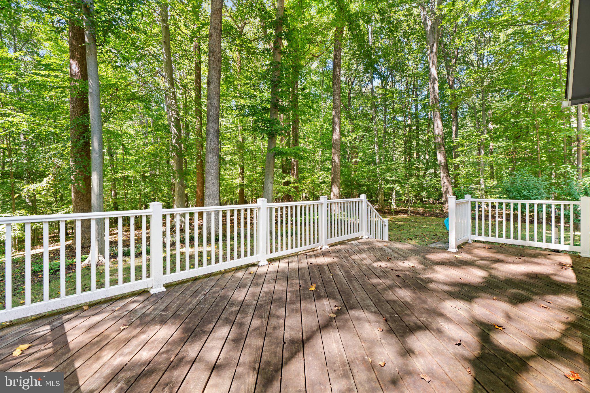 12412 Hall Shop Road Fulton, MD 20759 - Photo 37 of 97 Private deck off of primary suite.